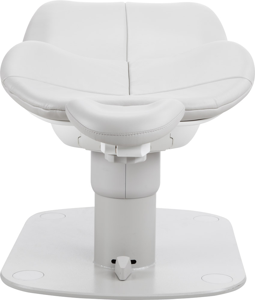 Rear view of reclined A-dec Specialty Chair